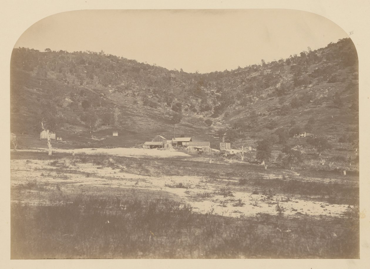 (Bear Valley Mill) door Carleton E. Watkins