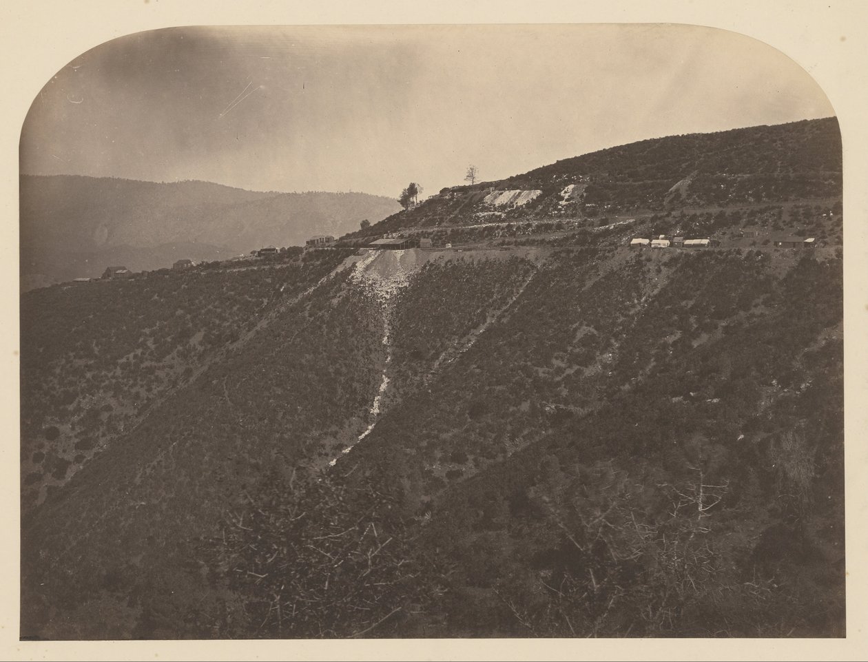 (Pine Tree Mine) door Carleton E. Watkins