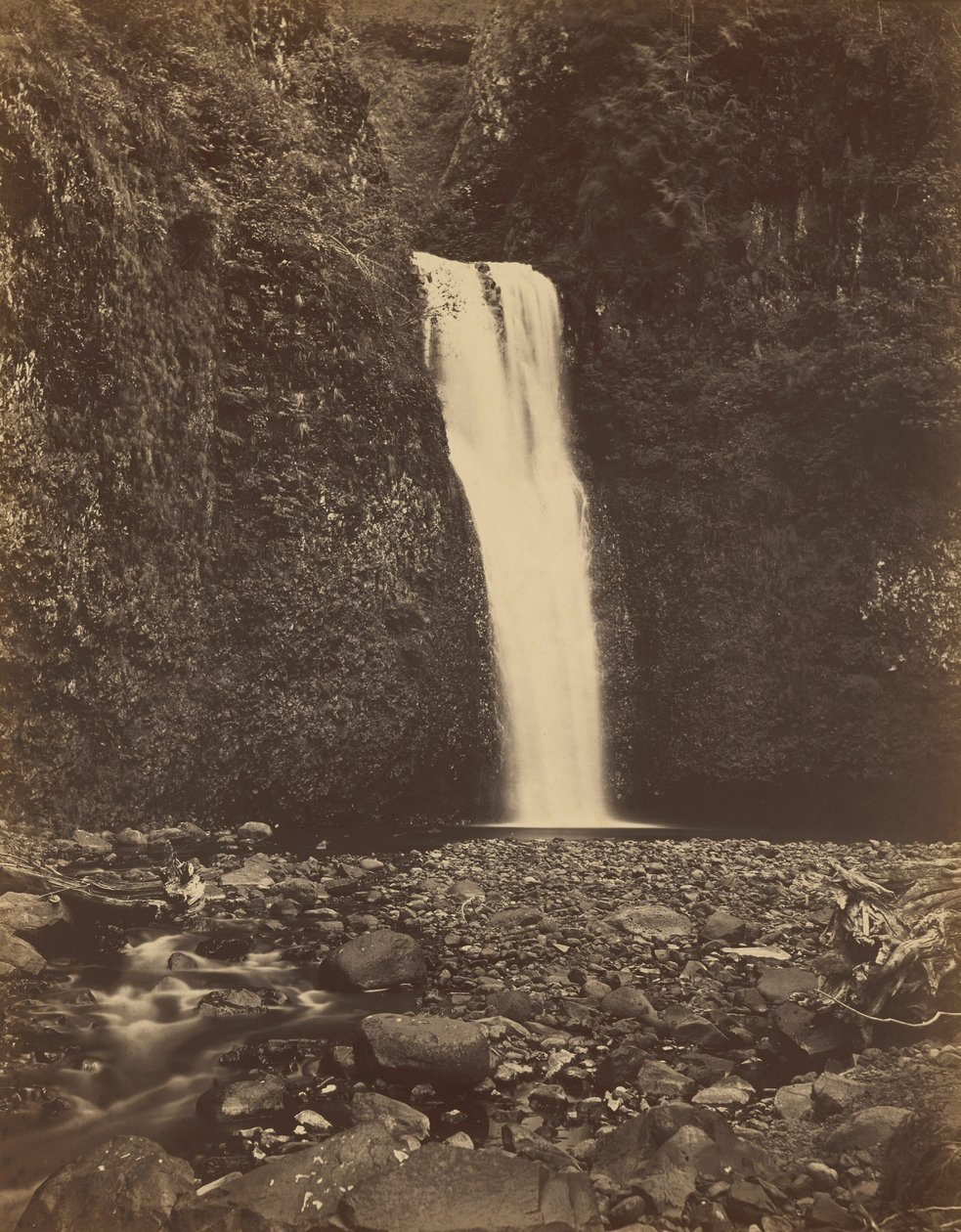 De watervallen van Lower Multnomah, Columbia River,1867 (foto) door Carleton Emmons Watkins