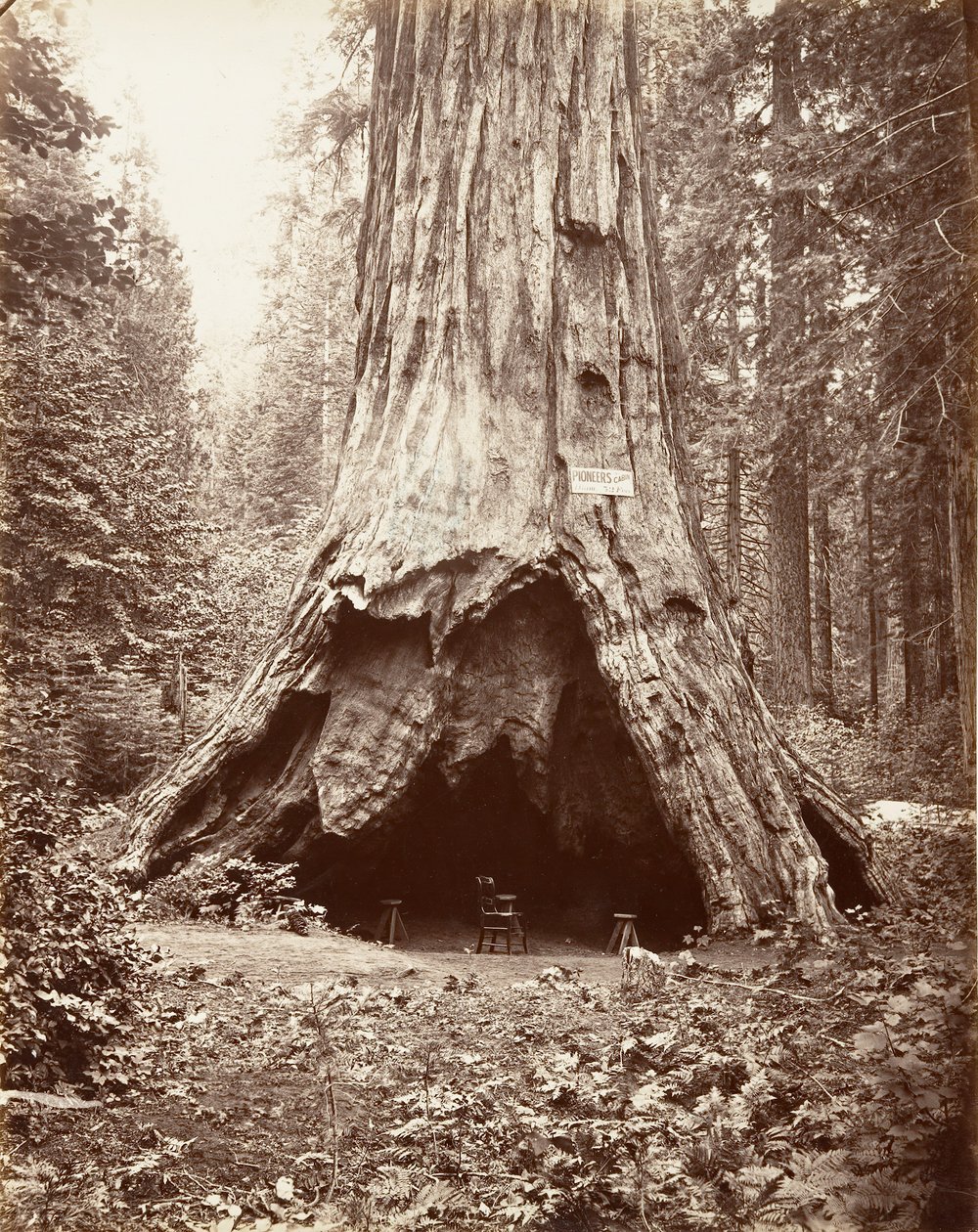 Pioniershut, 1865-66, gedrukt ca. 1876 door Carleton Emmons Watkins