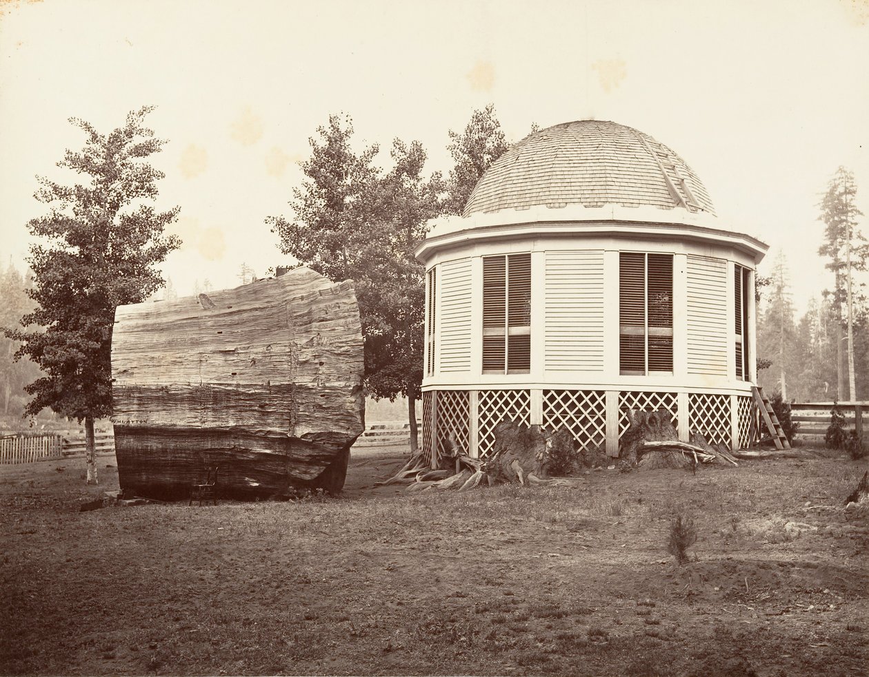 Het huis boven een stomp van een grote boom door Carleton Emmons Watkins
