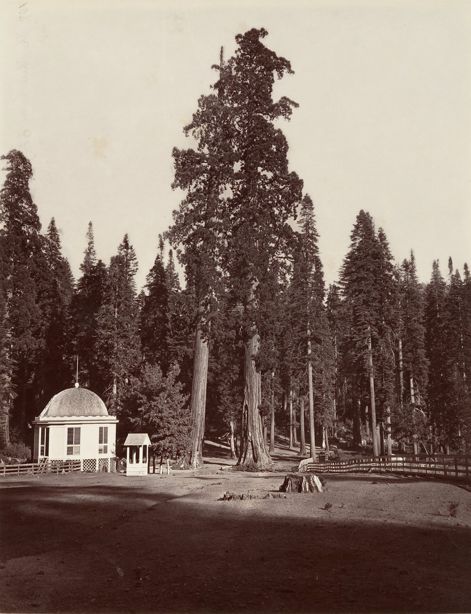 De Wacht, 315 voet, 1865-66, gedrukt ca. 1876 door Carleton Emmons Watkins