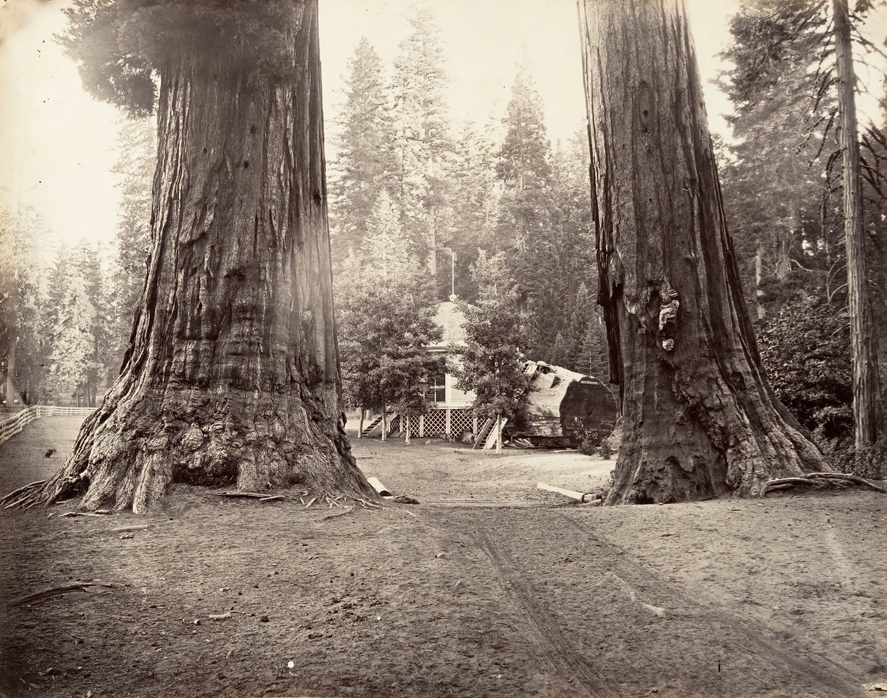 De wachters, 315 voet, Yosemite door Carleton Emmons Watkins