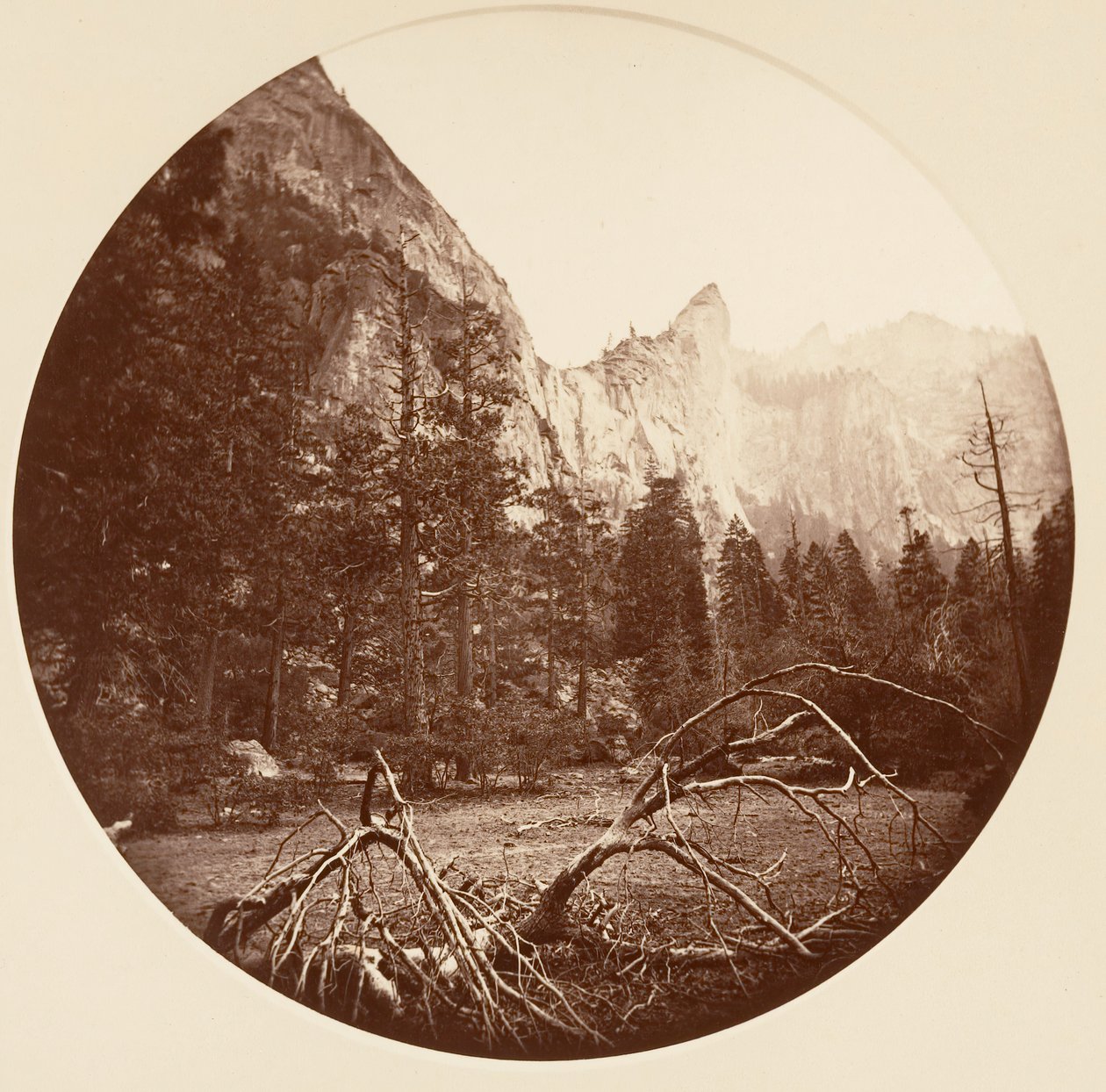 Yosemite National Park, Californië door Carleton Emmons Watkins