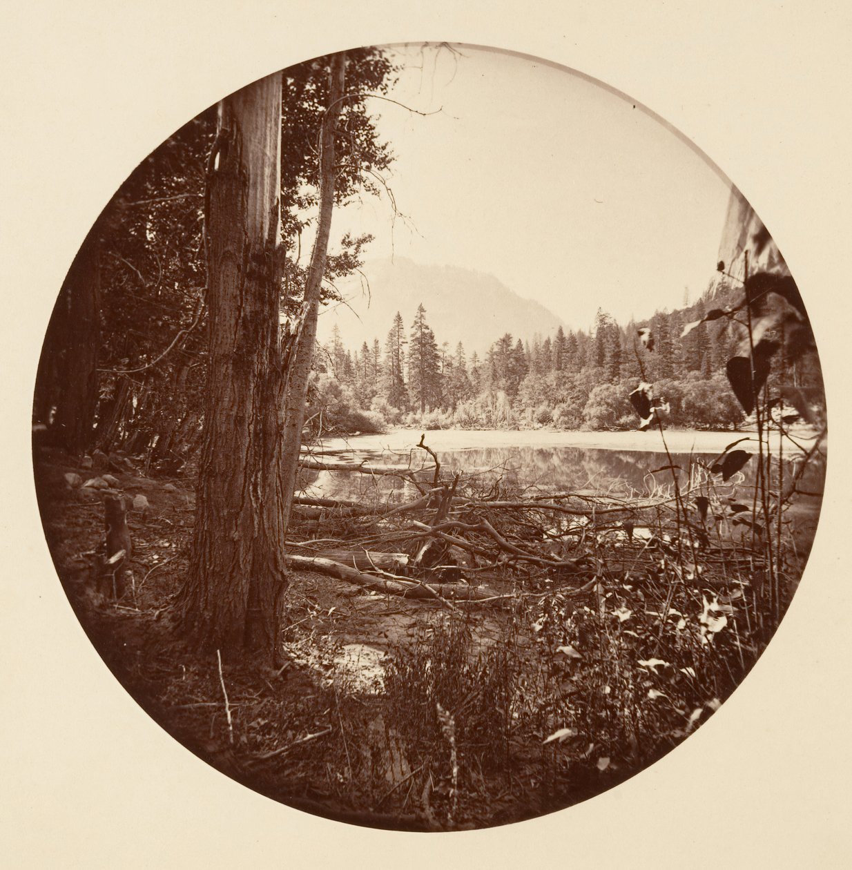 [Yosemite National Park, Californië] door Carleton Emmons Watkins