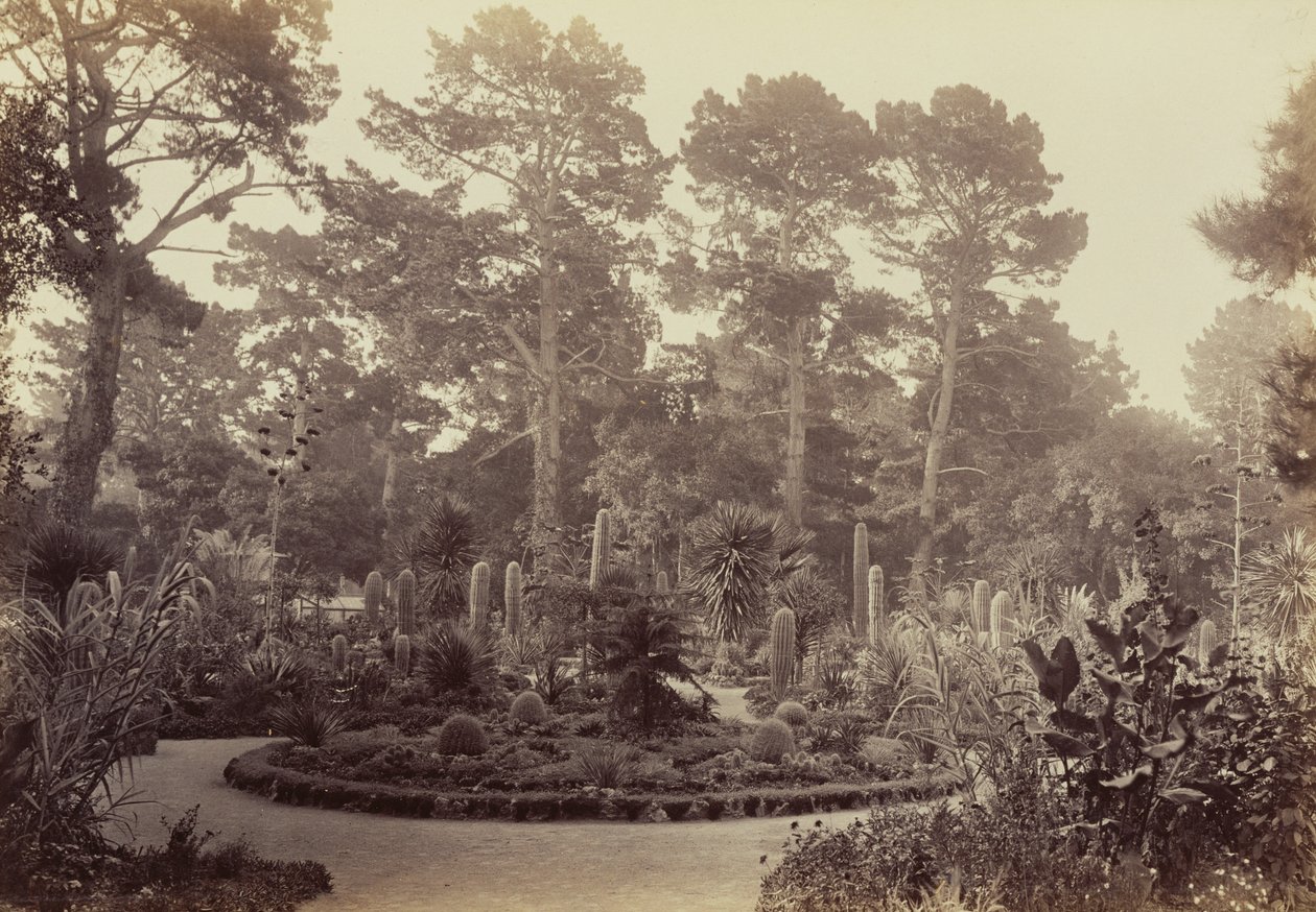 [Arizona-tuin, Hotel del Monte, Monterey] door Carleton Watkins