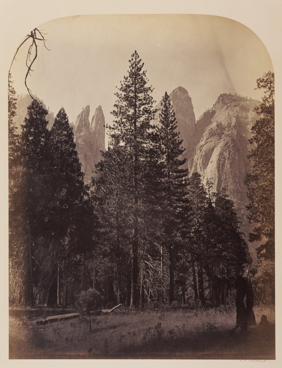 Kathedraaltorens - Yosemite door Carleton Watkins