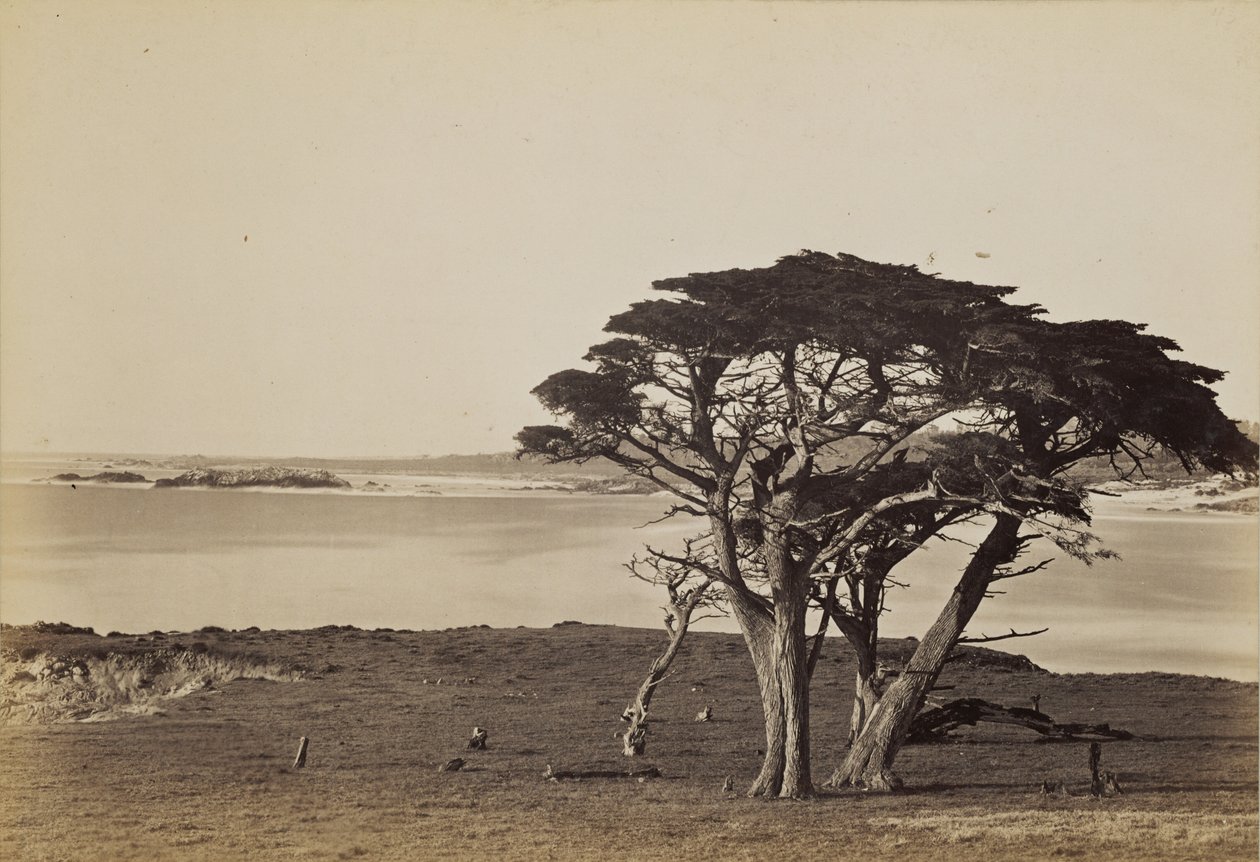 Kustgezicht bij Monterey door Carleton Watkins