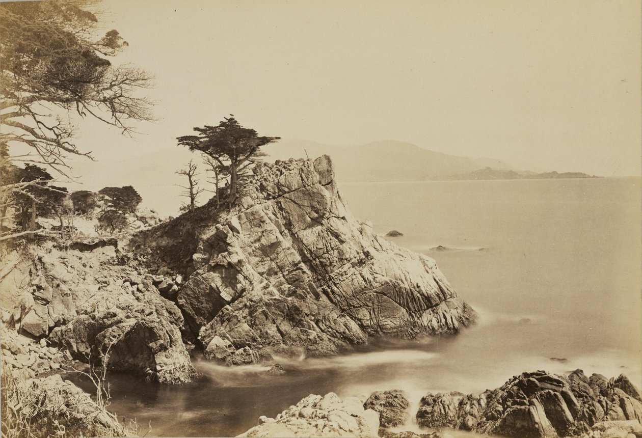 [Cypress Point] door Carleton Watkins
