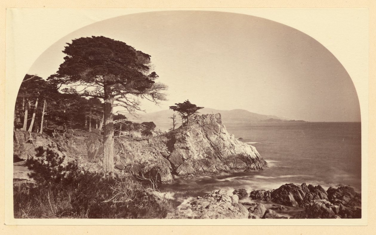 [Cypress Point vanaf Cypress Drive, Monterey, Californië] door Carleton Watkins