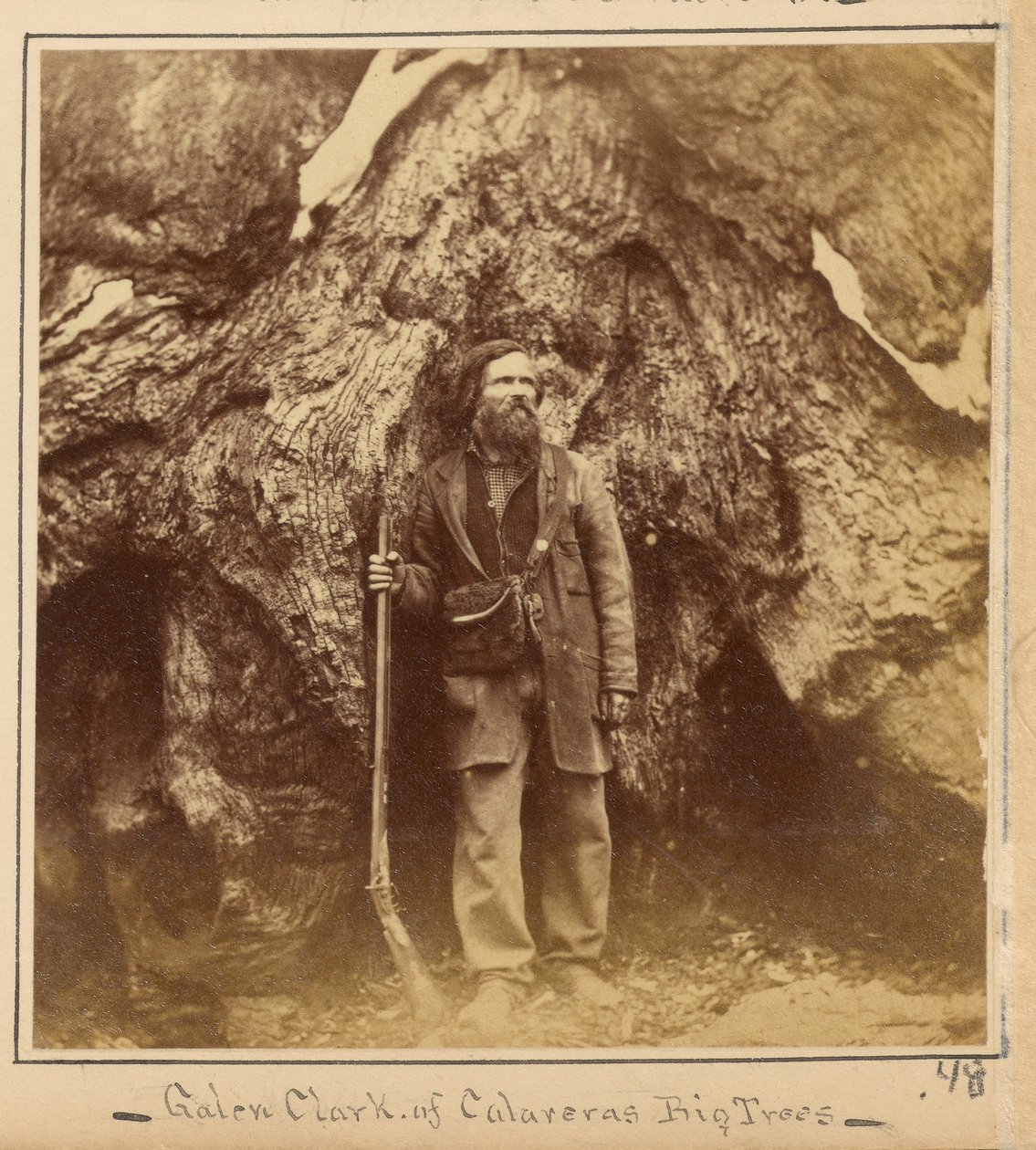 Galen Clark, Esq., Mariposa Grove, Mariposa County, Californië door Carleton Watkins