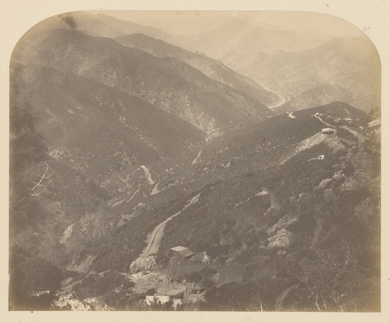 [Josephine en Pijnboom]. door Carleton Watkins