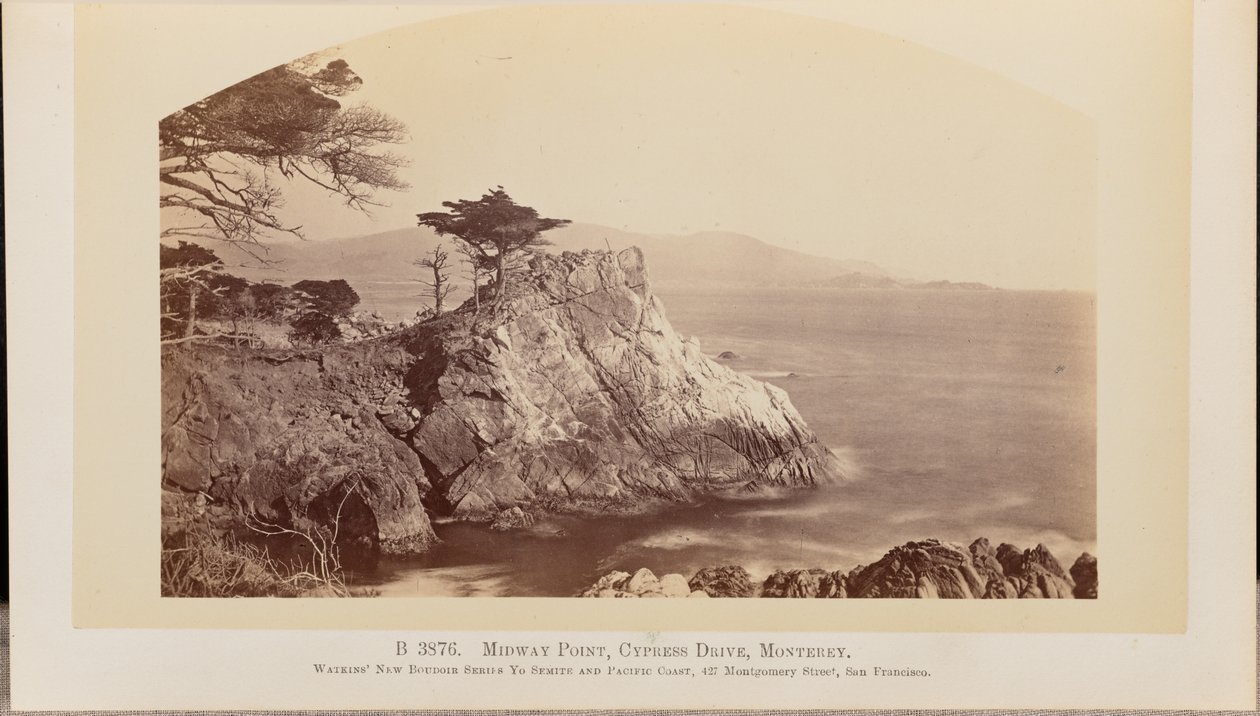 Midway Point, Cypress Drive, Monterey door Carleton Watkins