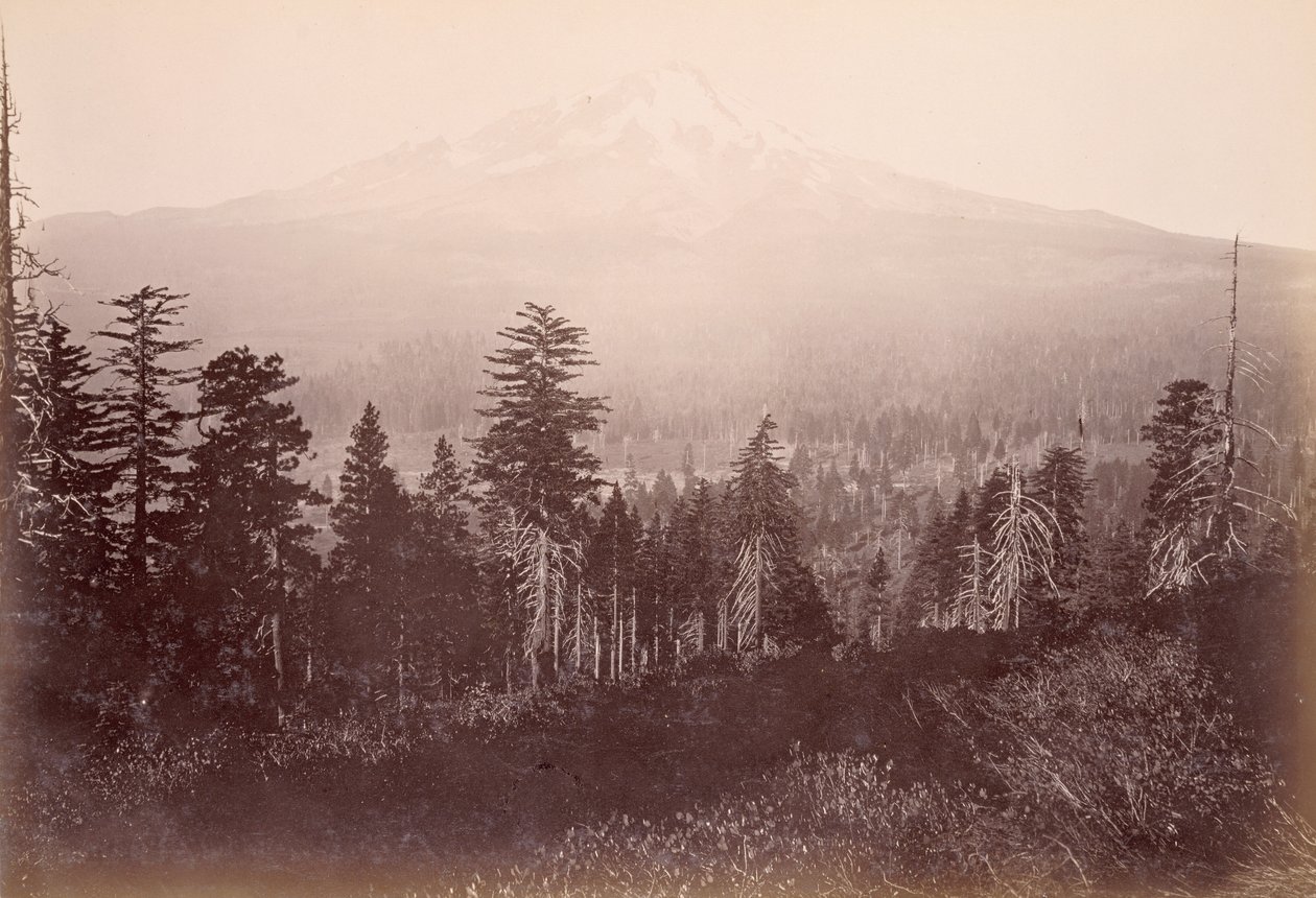 Mount Shasta door Carleton Watkins