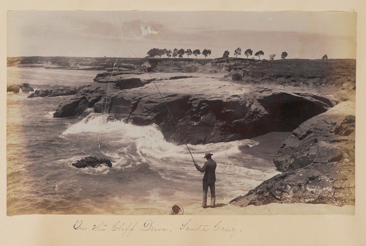 Op de Cliff Drive, Santa Cruz door Carleton Watkins