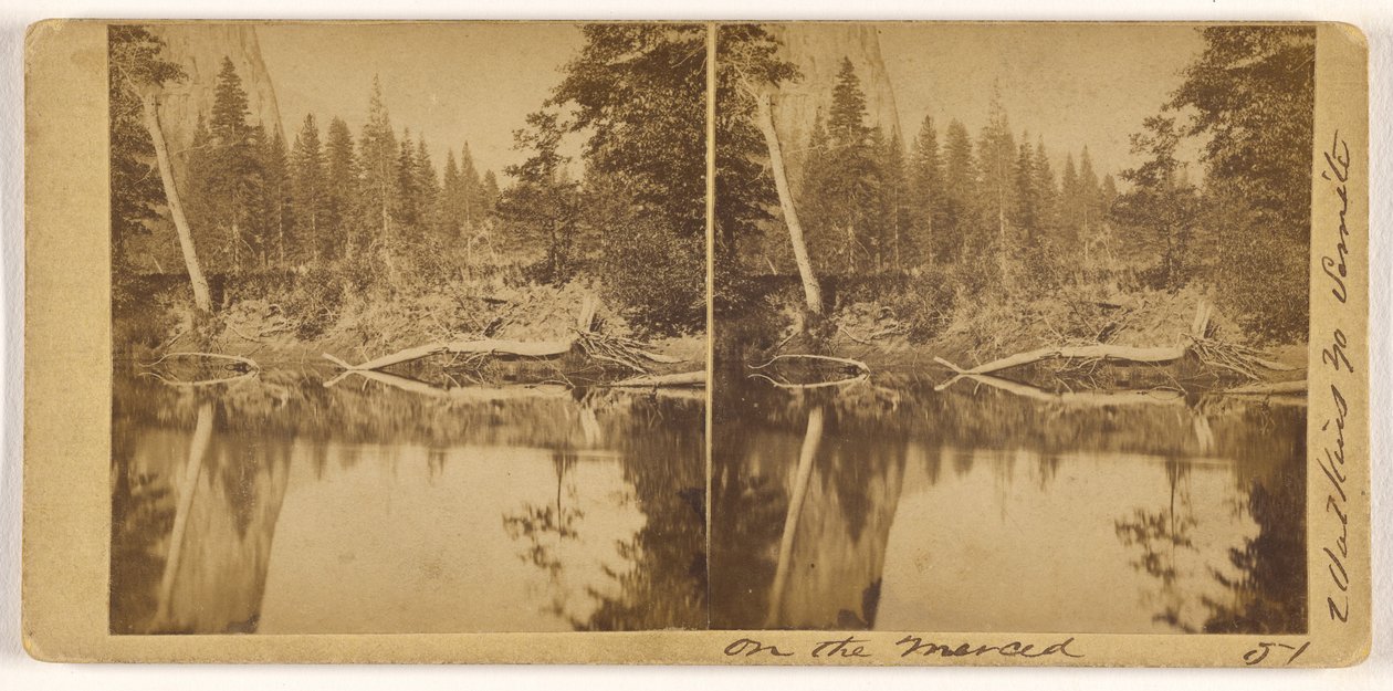 Am Merced door Carleton Watkins