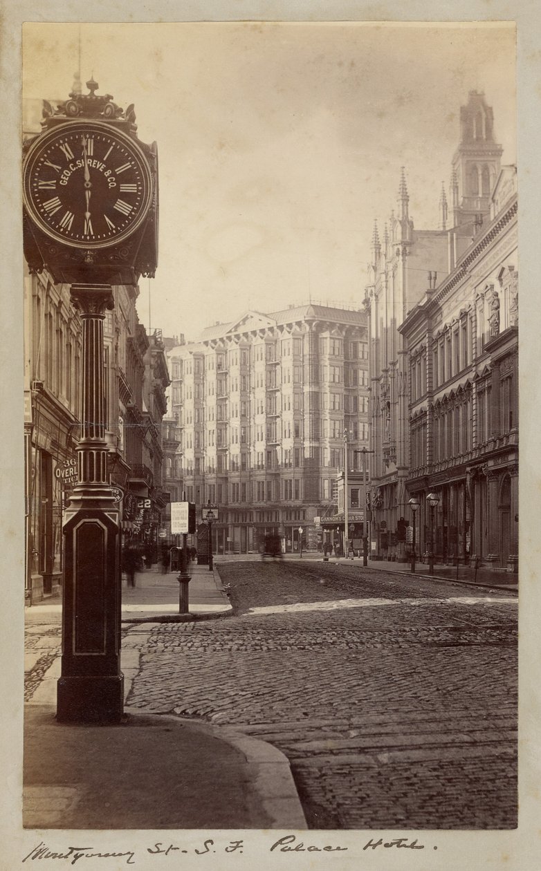 Palace Hotel, Montgomery Street, San Francisco door Carleton Watkins
