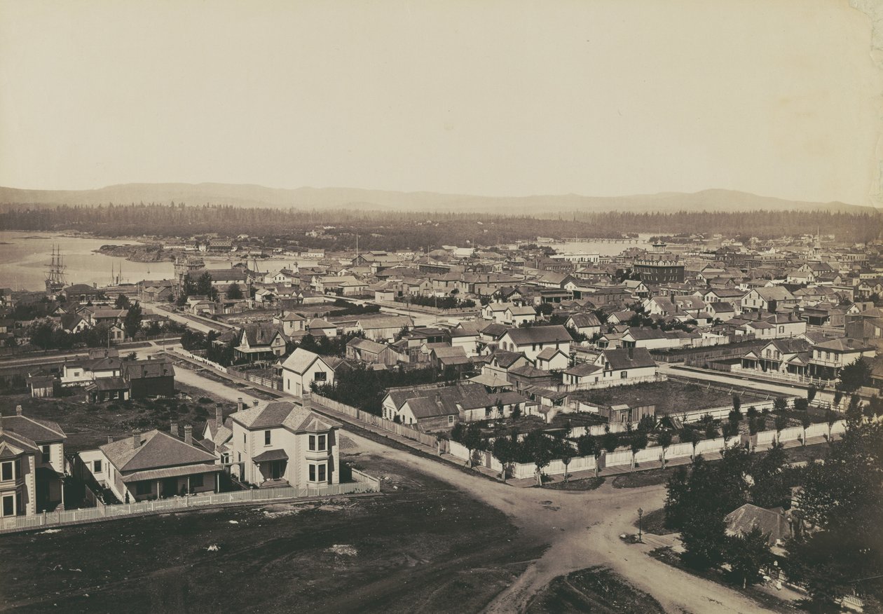[Panorama van Victoria, B.C. - uitzicht vanaf Christ Church nr. 2] door Carleton Watkins