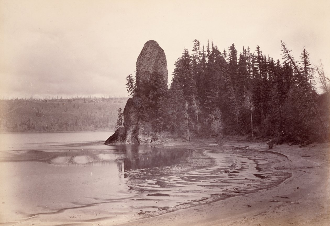 [Rooster Rock - Columbia River] door Carleton Watkins