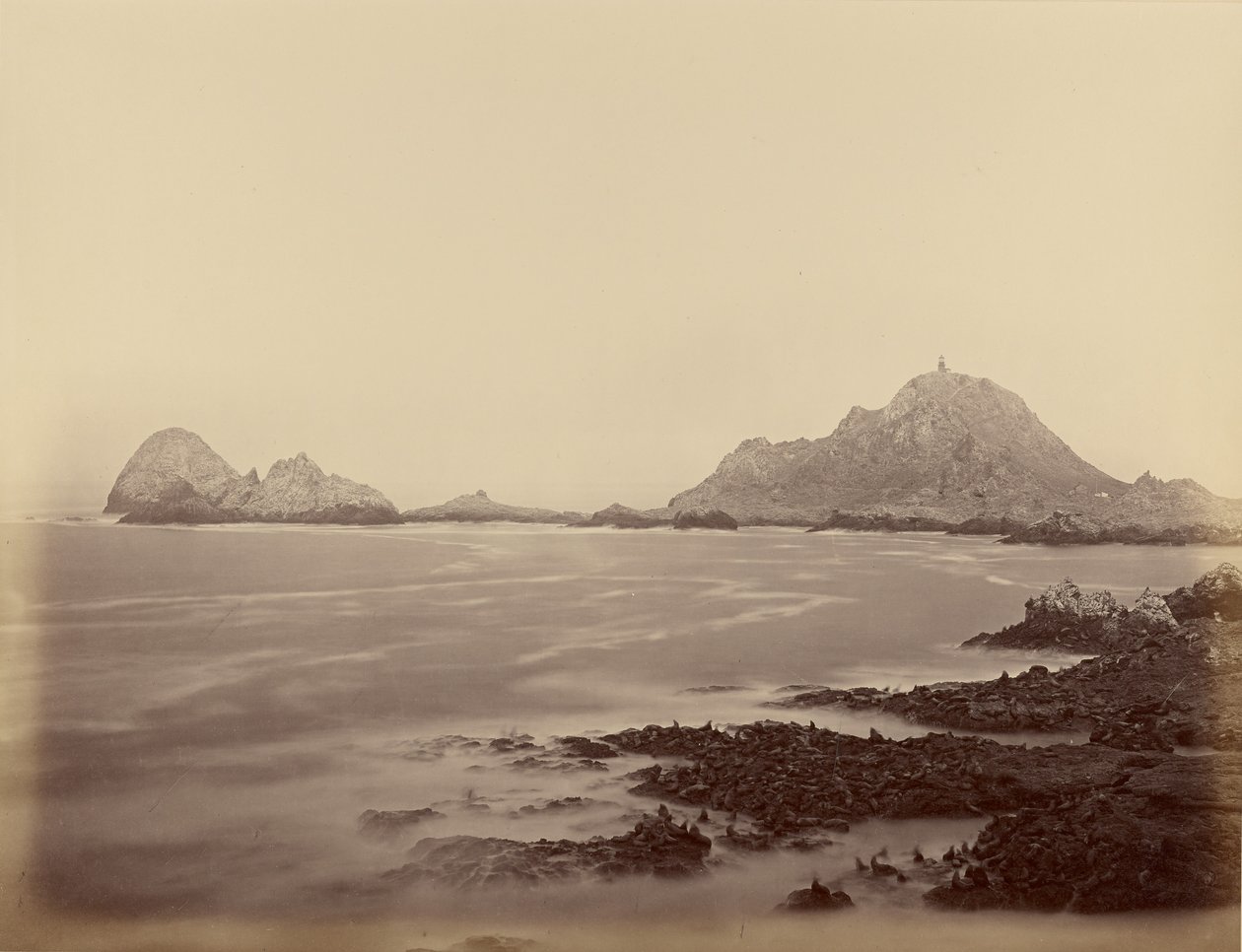 Seal Point vanaf het westelijke uiteinde van de Farallones door Carleton Watkins