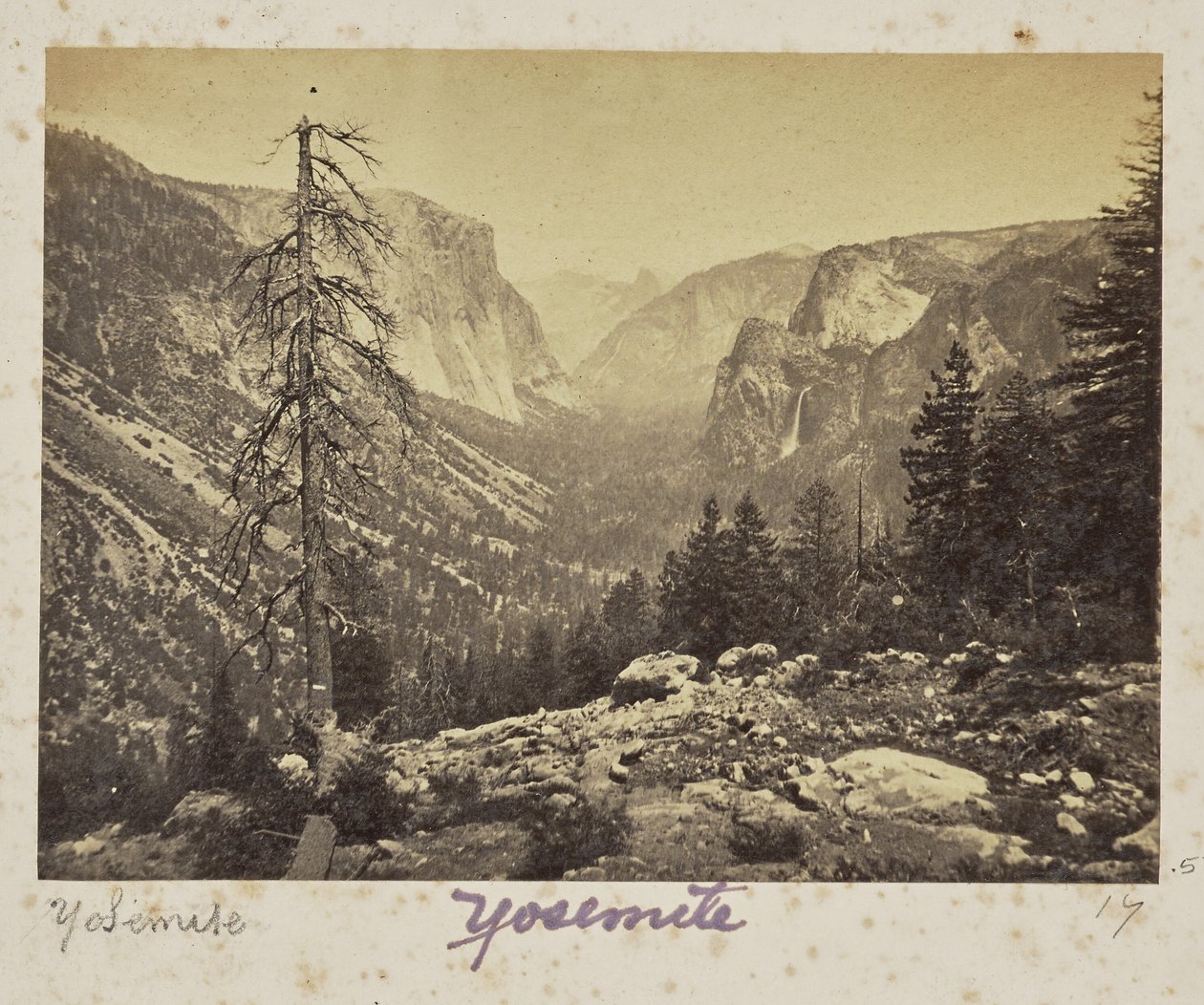 De Yosemitevallei, vanaf het Mariposapad, Yosemitevallei, Mariposa County, Californië (nr. 1138) door Carleton Watkins