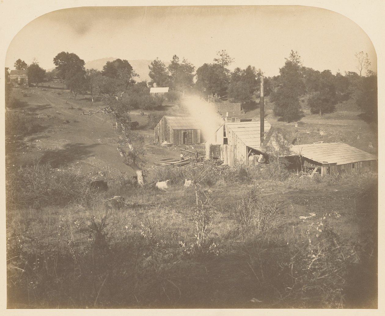 [Turners molen] door Carleton Watkins
