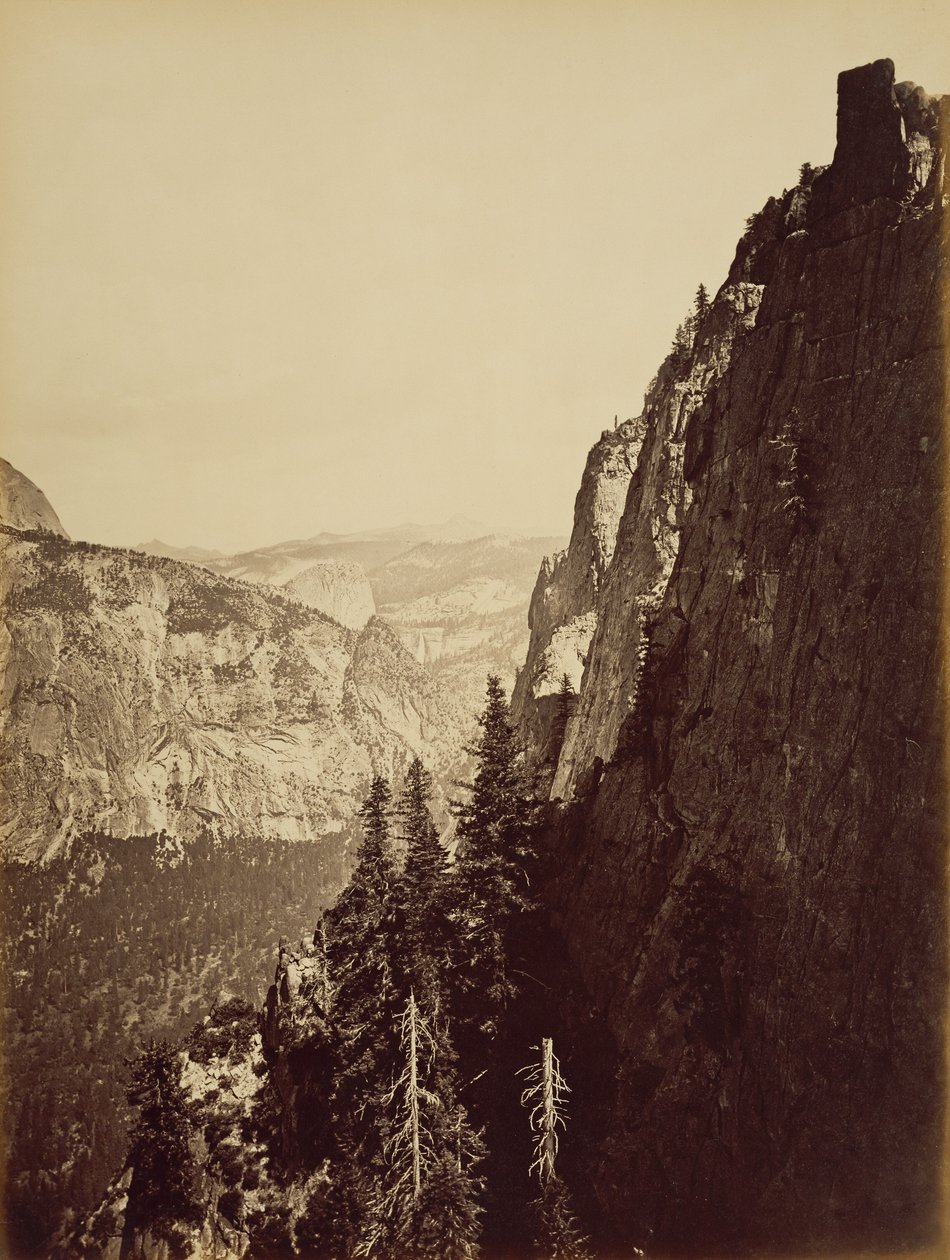 Uitzicht vanaf Moran Point door Carleton Watkins