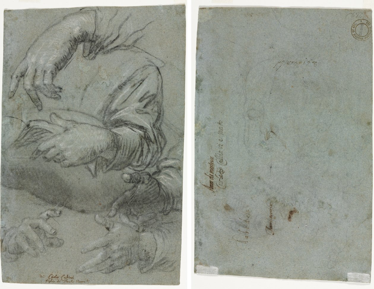 Studies van Handen (recto); Schets van een Kinderhoofd (verso) door Carletto Caliari
