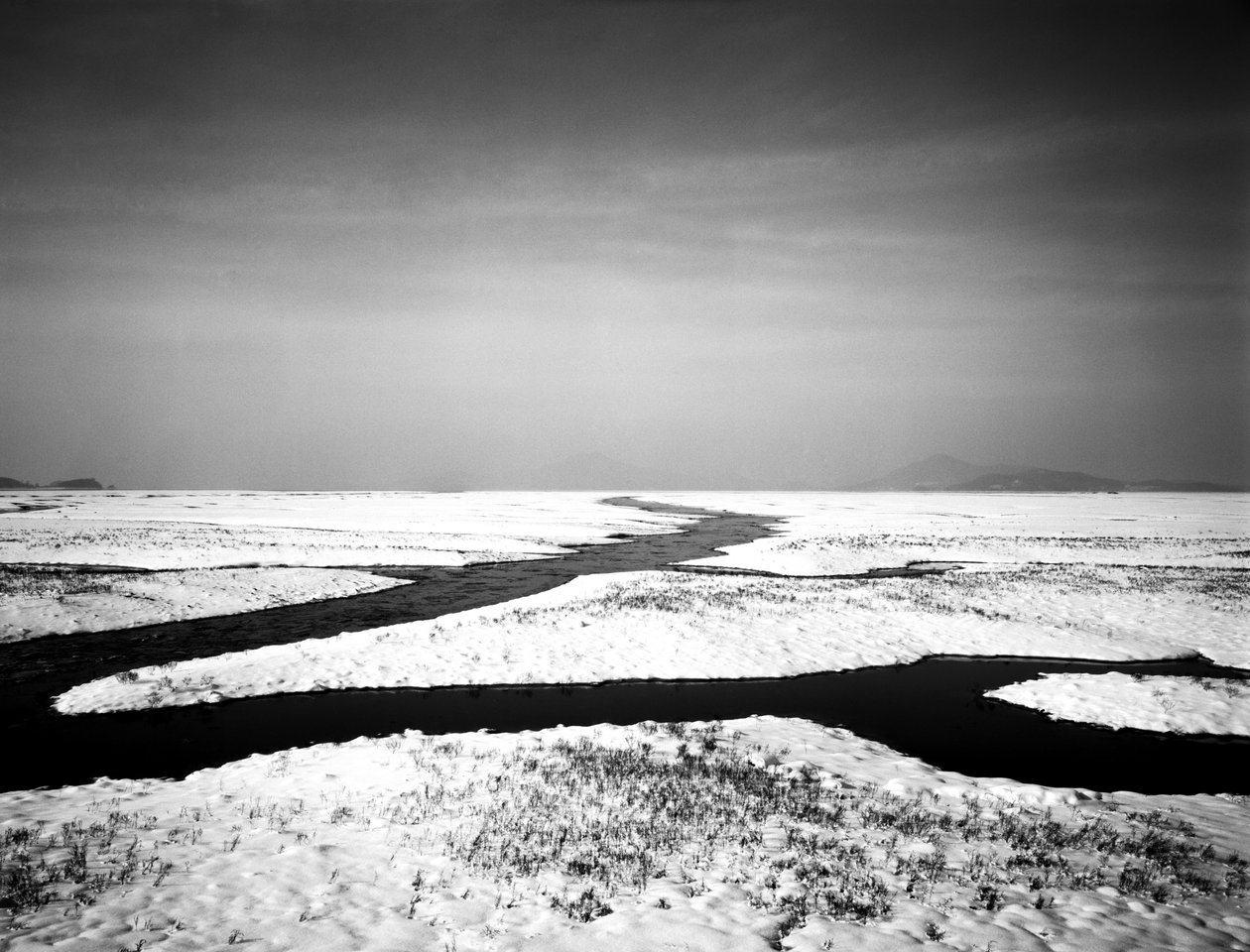 Voor altijd aan zee, 2012 door Carli Choi