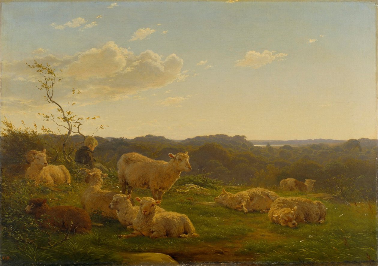 Schapen op een heuvel bij Skarridsø door Carlo Dalgas