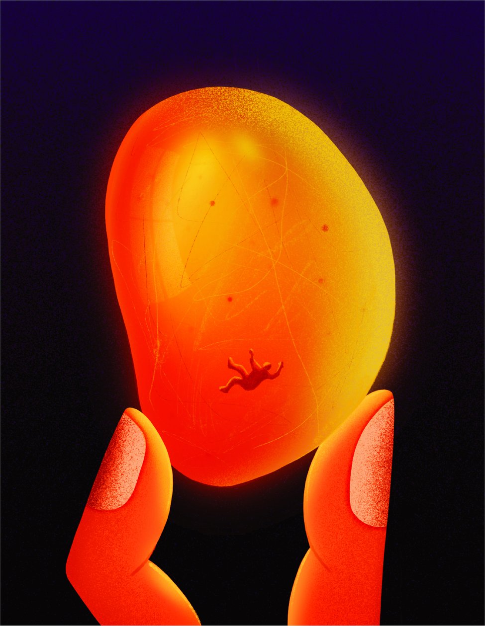  door Carlo Alberto Giardina