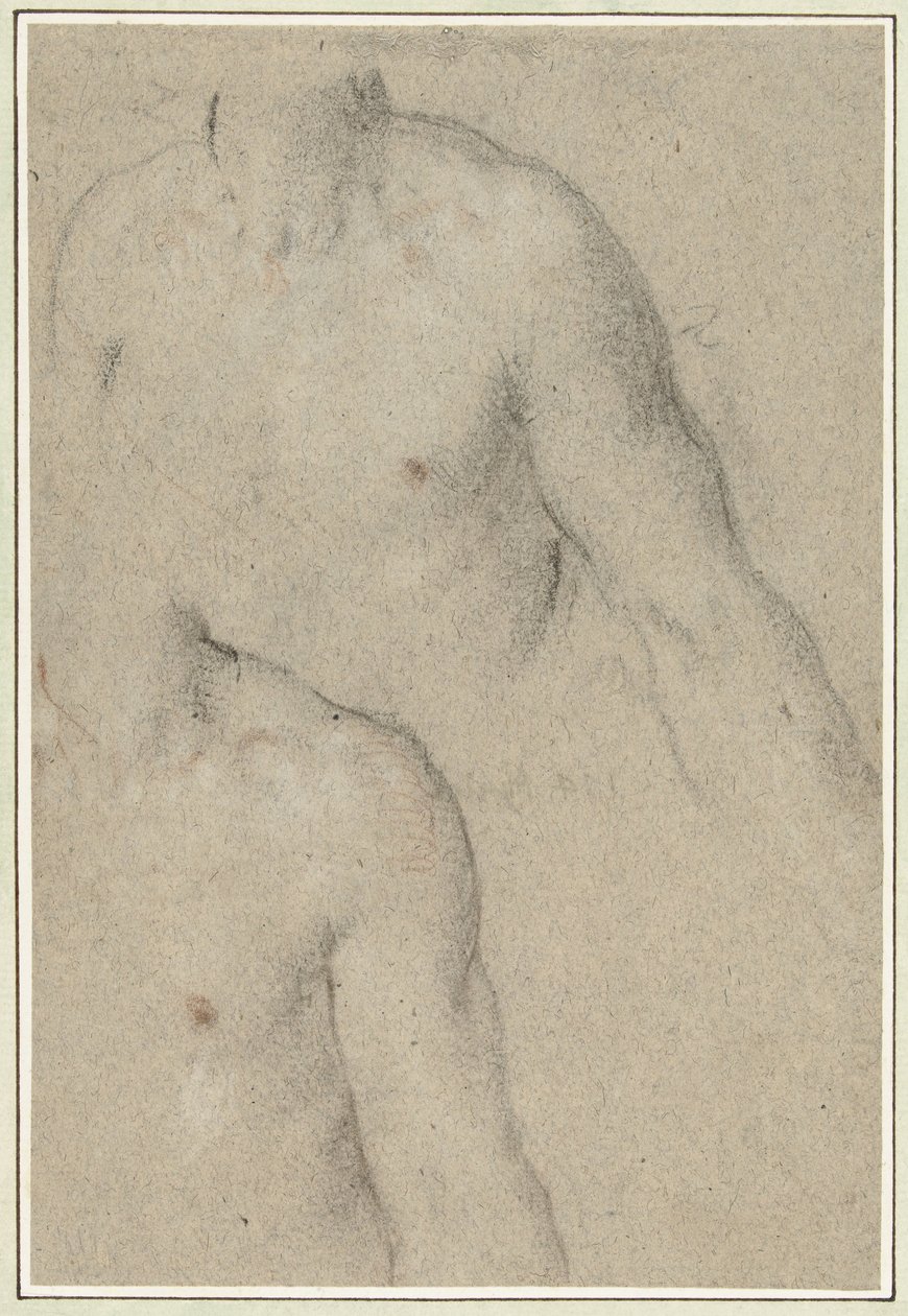 Twee studies van de torso van een jongeman door Carlo Caliari