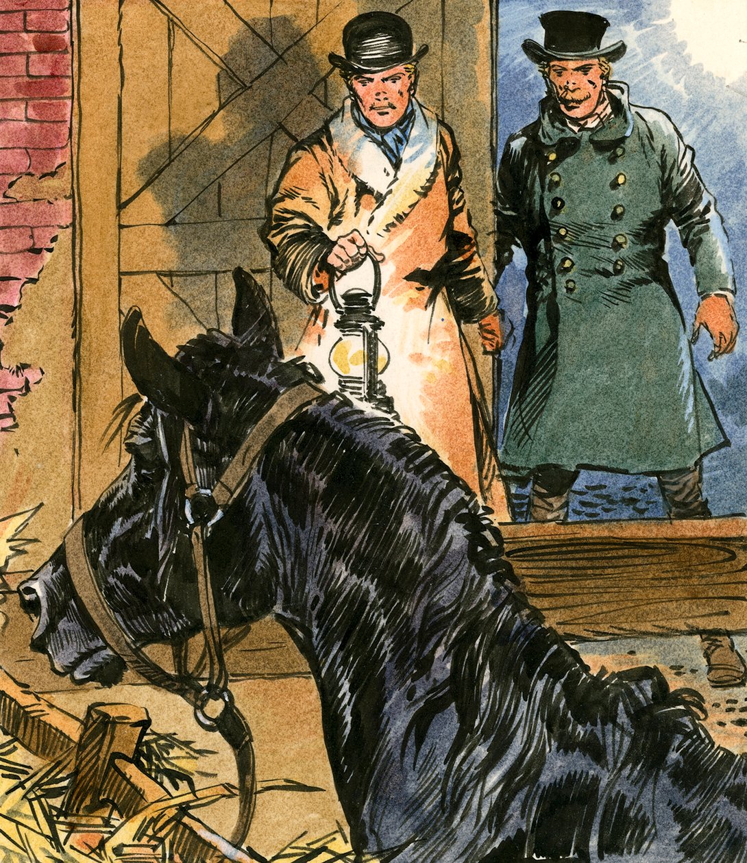 Zwarte Schoonheid door Carlos Gabriel Roume
