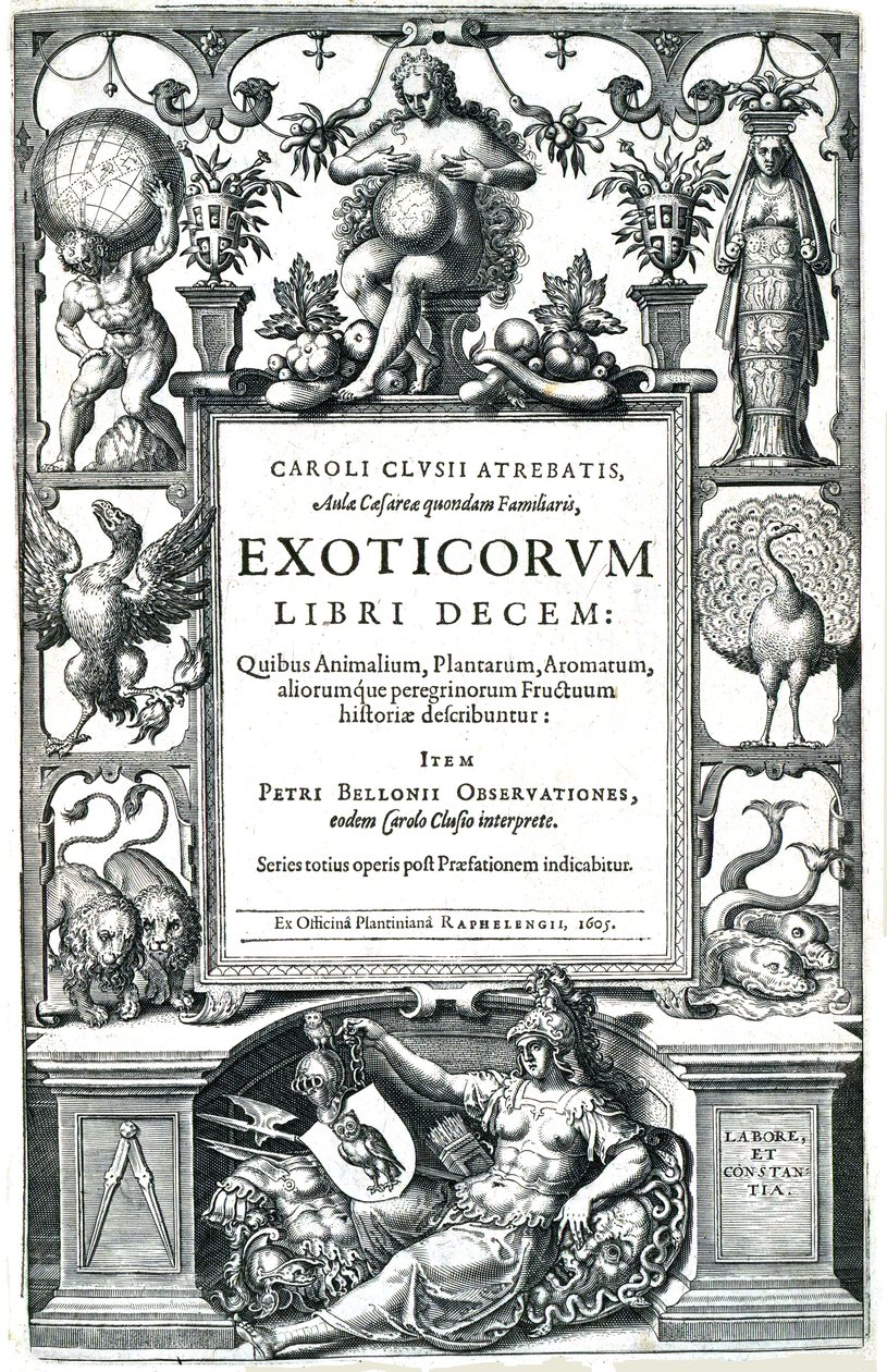 Exoticorum libri decem door Carolus Clusius