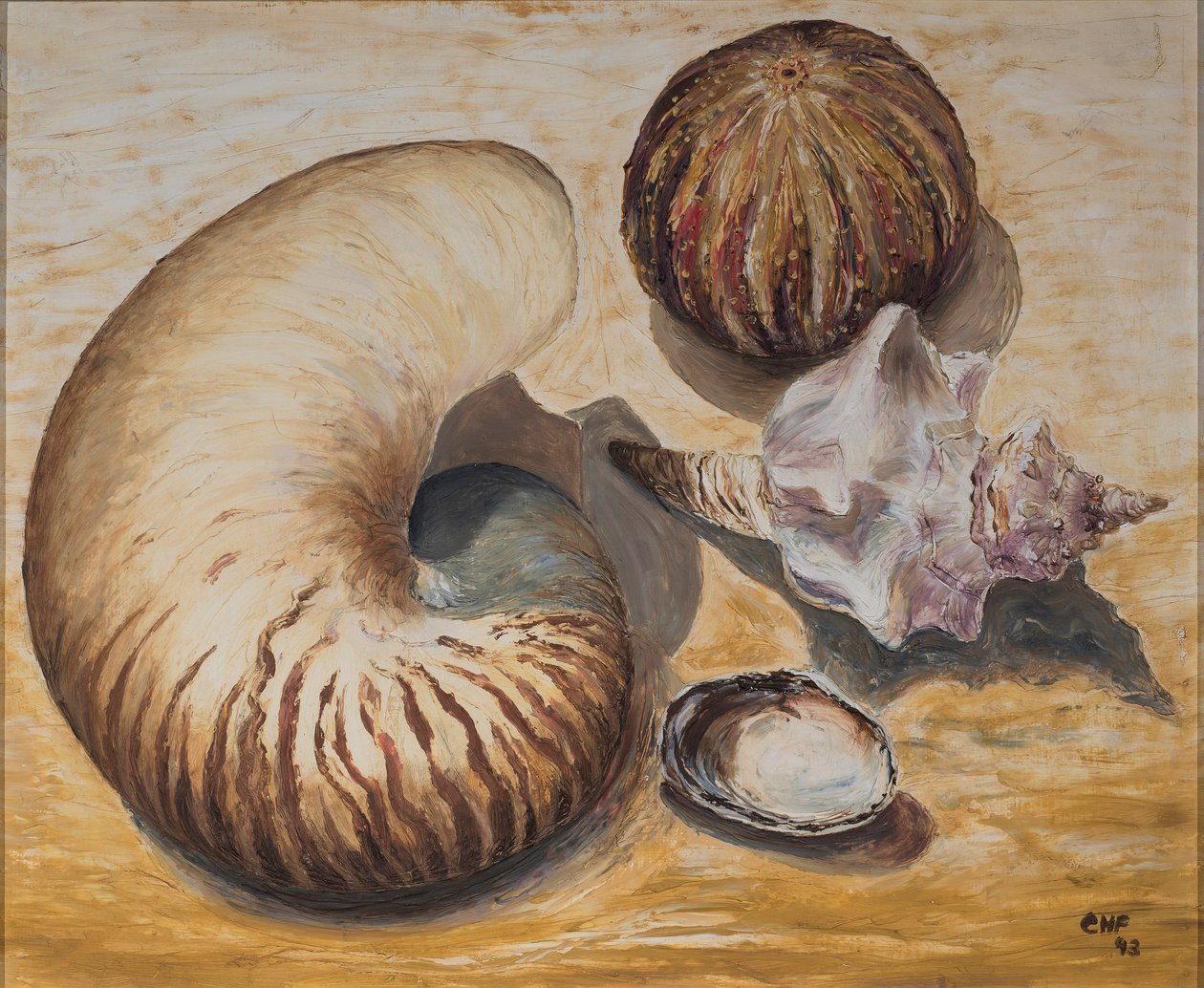 Zeesterren door Carolyn Hubbard Ford