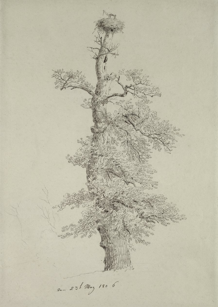 Oude Eik met een Ooievaarsnest, 23 mei 1806 door Caspar David Friedrich