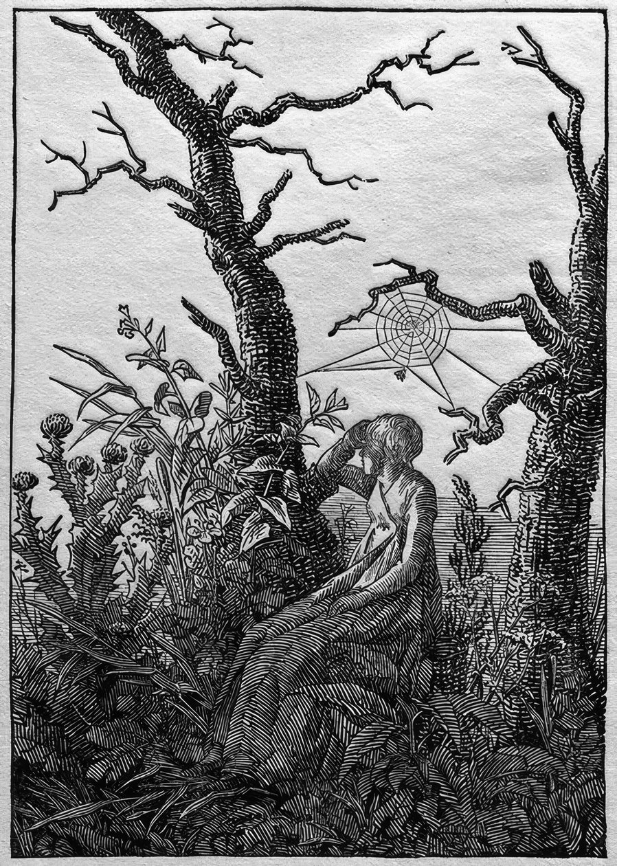 De vrouw met het spinnenweb tussen kale bomen door Caspar David Friedrich