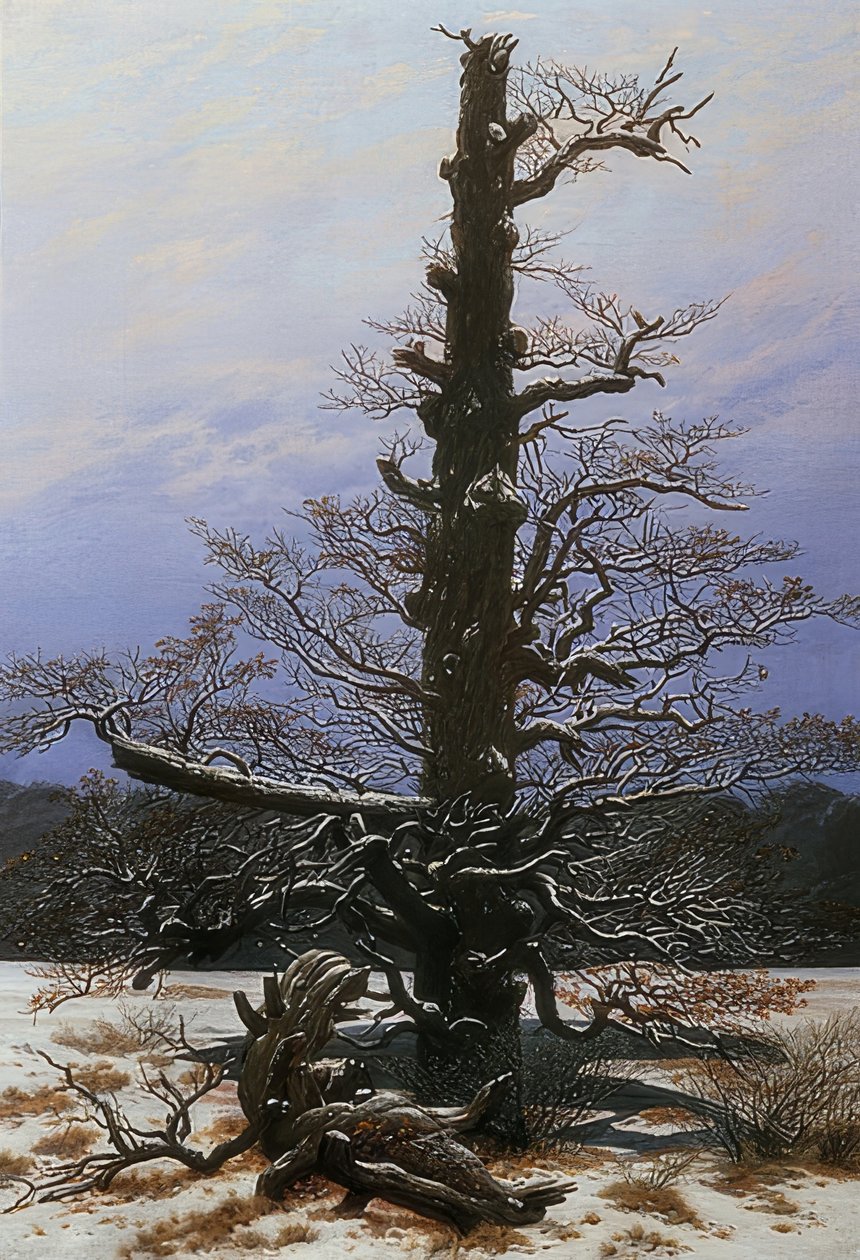Eik in de sneeuw. 1829 door Caspar David Friedrich