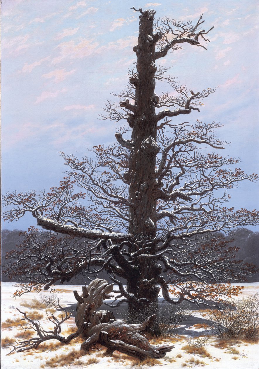 Duits: Eichbaum im Schnee De eikenboom in de sneeuw door Caspar David Friedrich