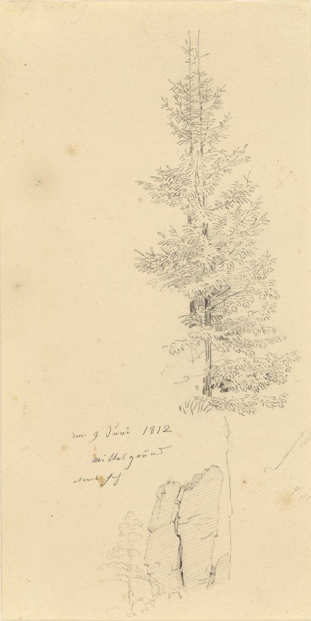 Duits: Studie mit Fichten und Felsen Studie van sparren en een rots door Caspar David Friedrich