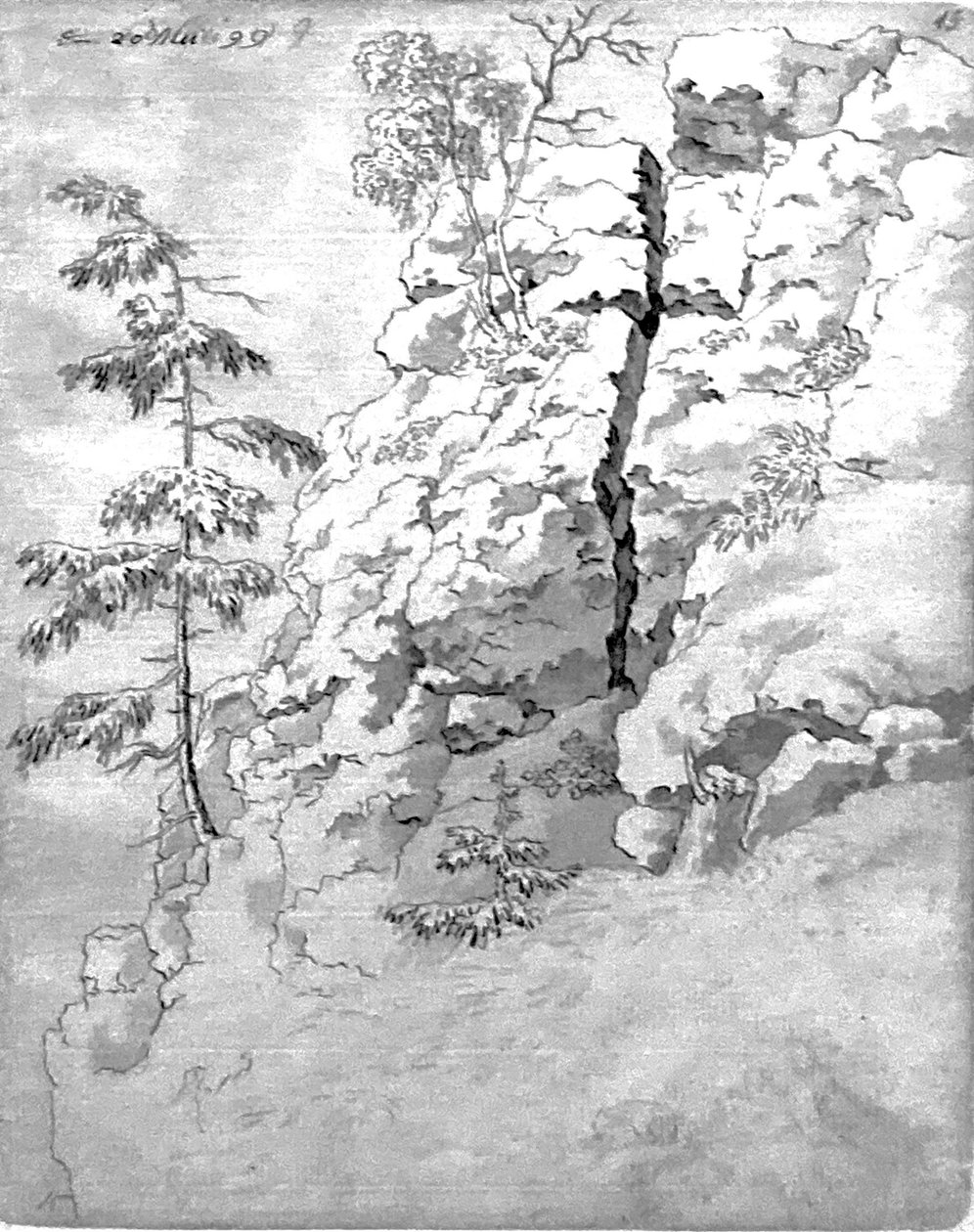 Rotsachtige helling met bomen door Caspar David Friedrich