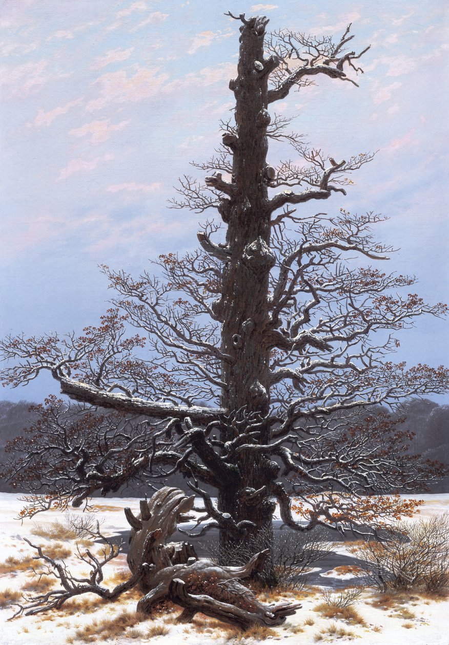 Winterlandschap (kale boom) door Caspar David Friedrich