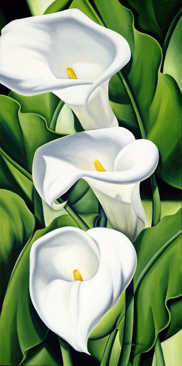 Lelies door Catherine Abel