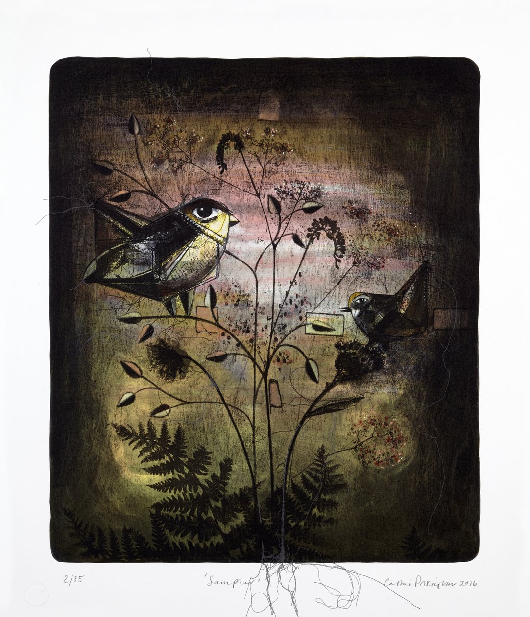 Sampler, 2016 (mokulito litho met handkleuring) door Cathie Pilkington