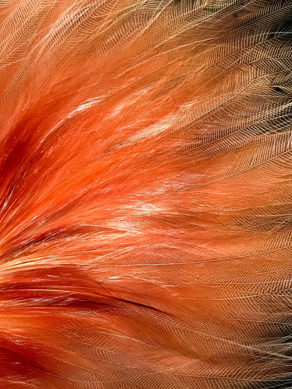 Compositie - Textuur, 2019 (foto) door Cécile Jamet