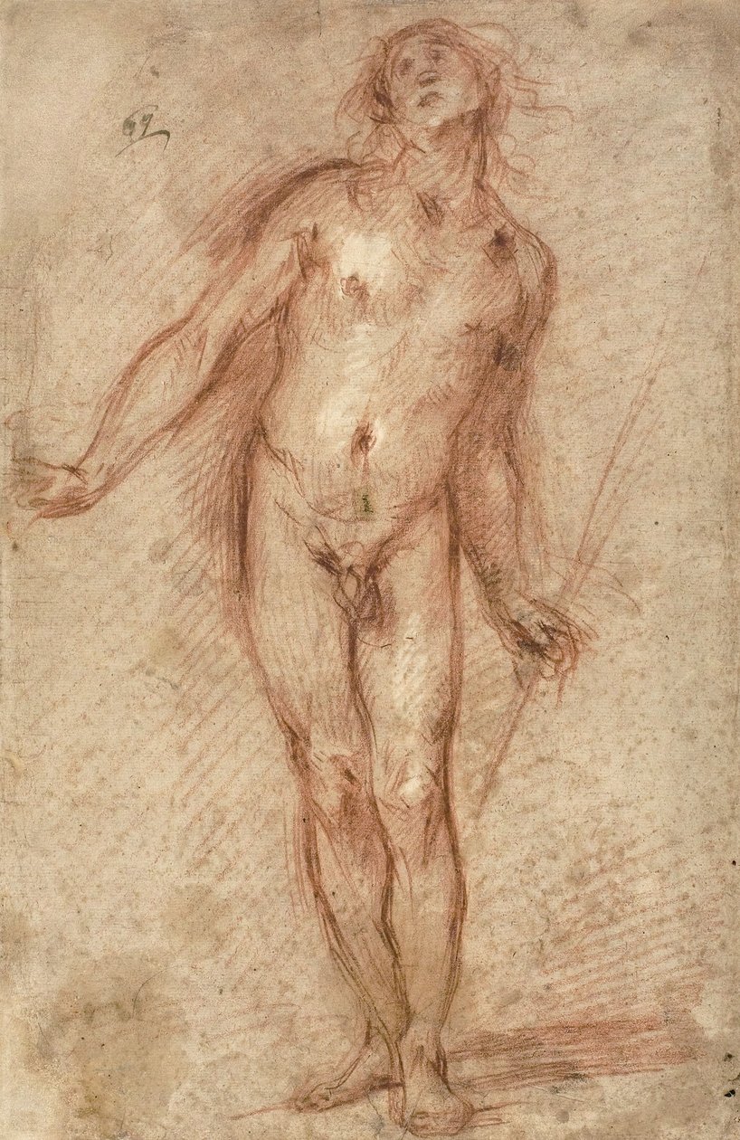 Staande mannelijke naakt, 1637-38 door Cecco Bravo