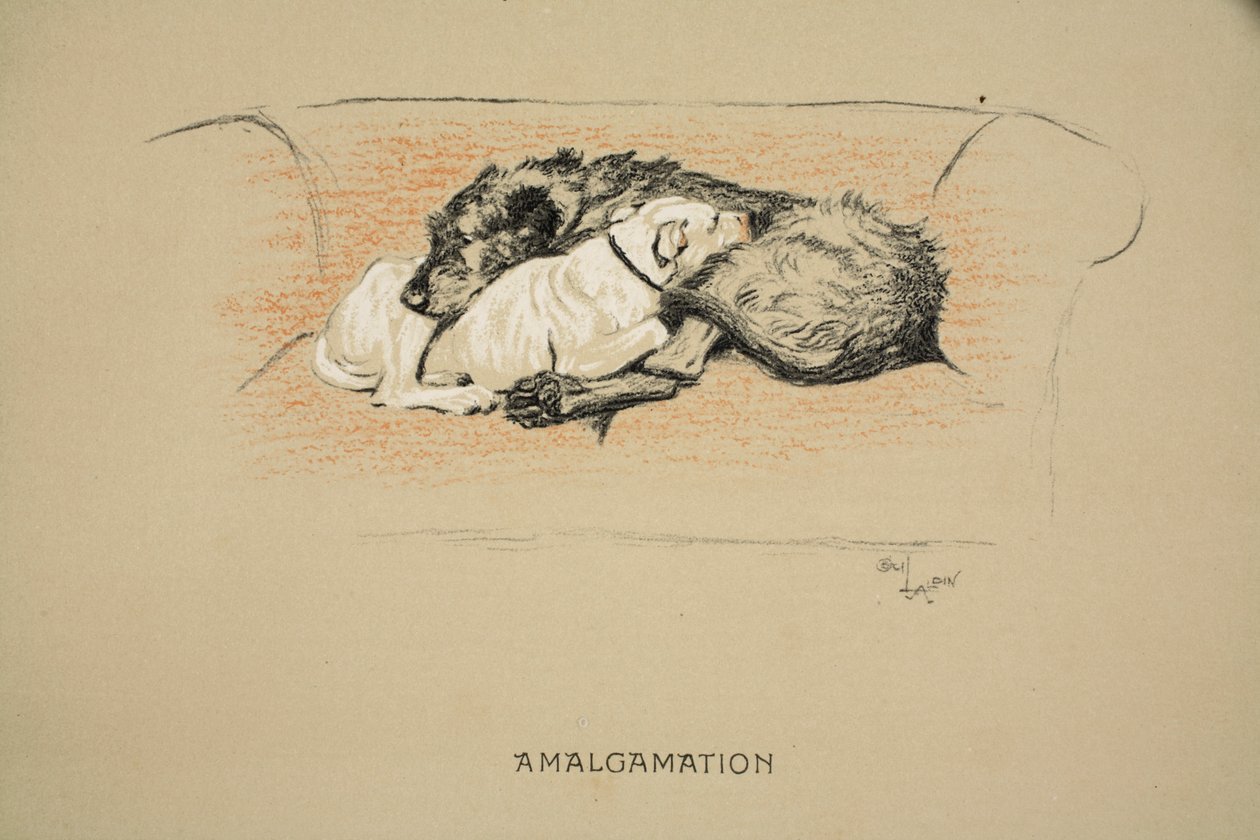 Amalgamatie, 1930, 1e Editie van 