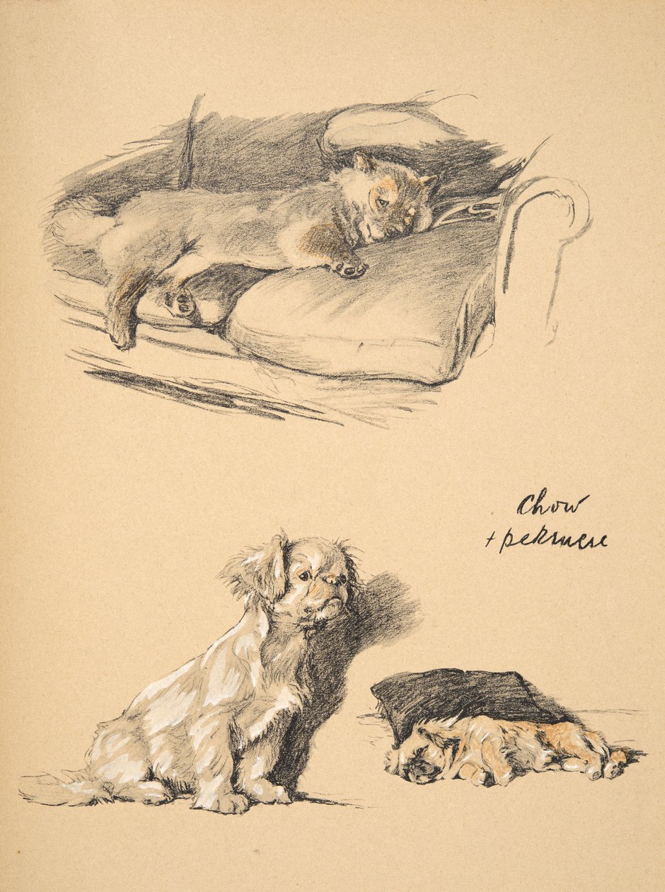 Chow en Pekinees, 1930, Illustraties uit zijn Schetsboek gebruikt voor 
