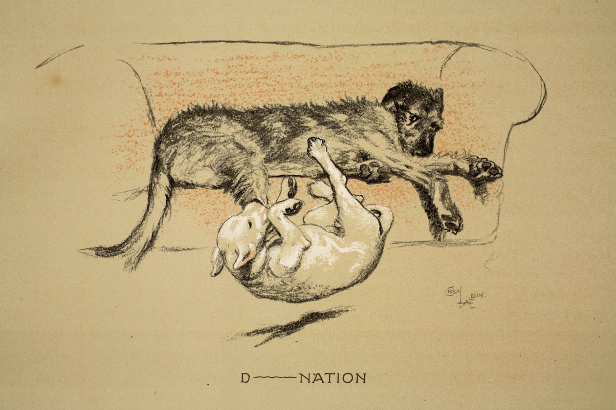 D--nation, 1930, 1e editie van 