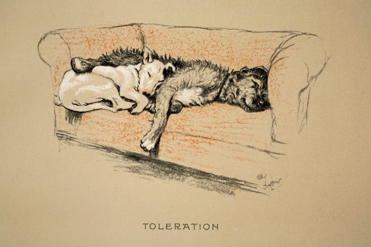 Tolerantie, 1930, 1e editie van 